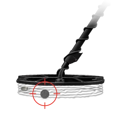 Sensitivity and Discrimination